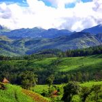 Eastern Highlands Zimbabwe - Travel to Zimbabwe with Vayeni