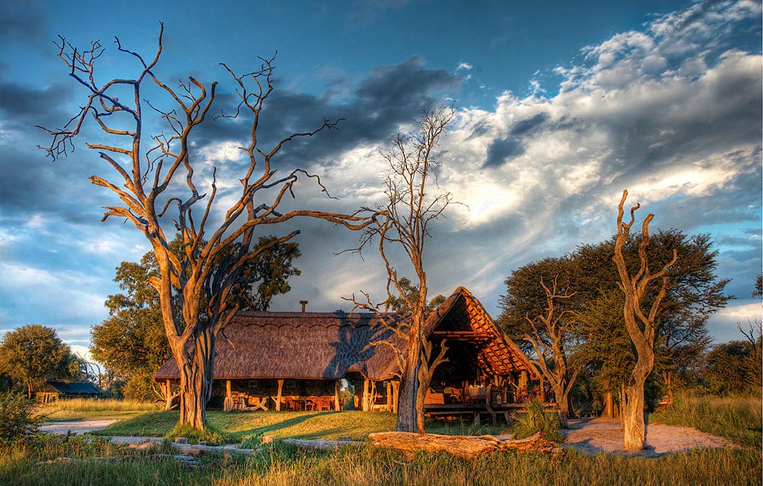 Bomani Lodge at Imvelo Safari Lodges in Hwange National Park Zimbabwe presented by Vayeni Escapes