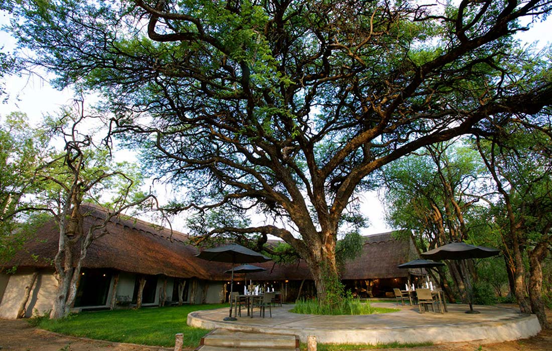 Camelthorn Lodge at Imvelo Safari Lodges in Hwange National Park Zimbabwe presented by Vayeni Escapes
