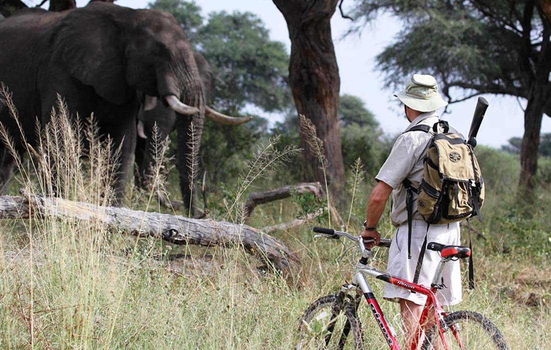 Jozibanini Lodge at Imvelo Safari Lodges in Hwange National Park Zimbabwe presented by Vayeni Escapes