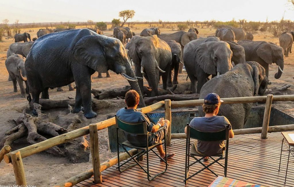 Nehimba Lodge at Imvelo Safari Lodges in Hwange National Park Zimbabwe presented by Vayeni Escapes