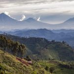 Volcanoes National Park Rwanda with Vayeni