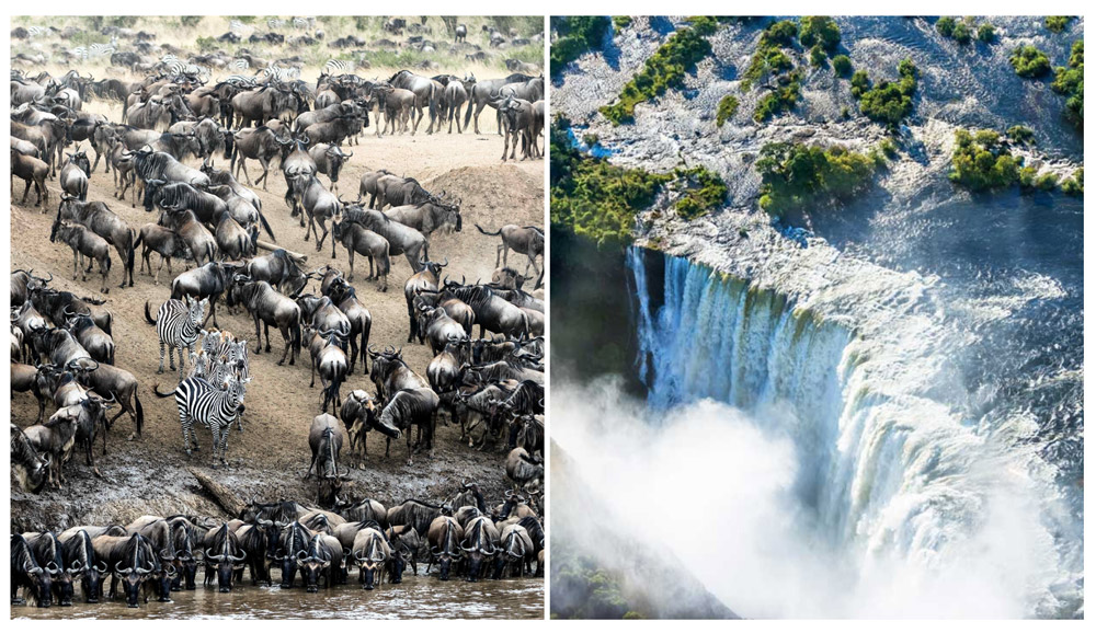 Eastern vs Southern Africa Safari