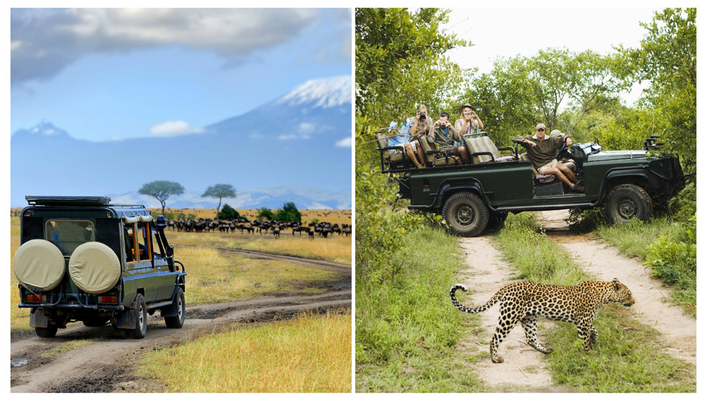 Eastern vs Southern Africa Safari