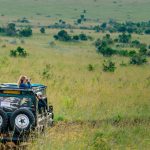 Eastern vs Southern Africa Safari